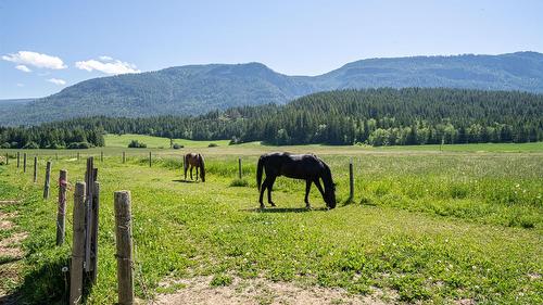 749 Enderby - Grindrod Road, Enderby, BC - Outdoor With View