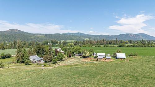 749 Enderby - Grindrod Road, Enderby, BC - Outdoor With View