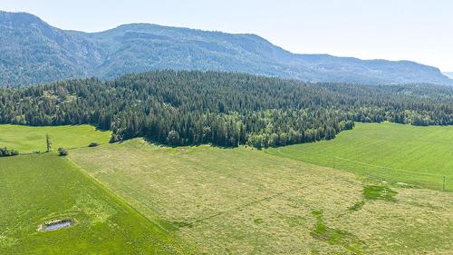 749 Enderby - Grindrod Road, Enderby, BC - Outdoor With View