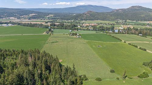749 Enderby - Grindrod Road, Enderby, BC - Outdoor With View