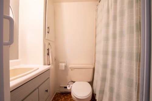Salle de bains - 3 Rue Botrel, Lévis (Desjardins), QC - Indoor Photo Showing Bathroom