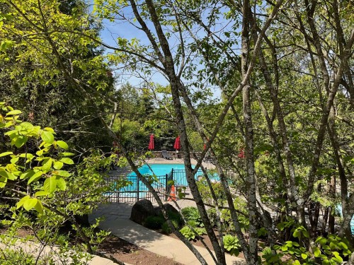 Piscine - 211-3035 Ch. De La Chapelle, Mont-Tremblant, QC - Outdoor With In Ground Pool