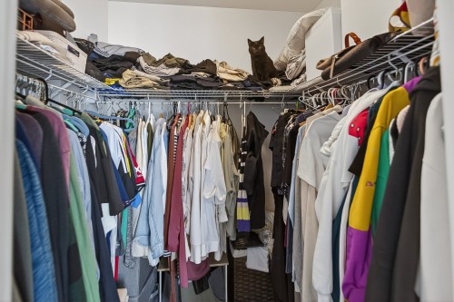 Penderie (Walk-in) - 401-1550 Rue Des Bassins, Montréal (Le Sud-Ouest), QC - Indoor With Storage