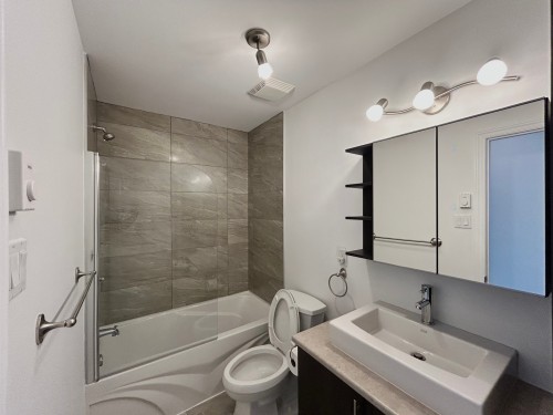 Salle de bains - 301-110 Rue Du Bruant, Terrebonne (Lachenaie), QC 