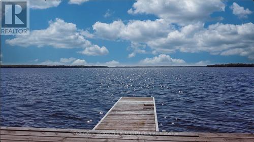 57 Island View Road, Kawartha Lakes, ON 