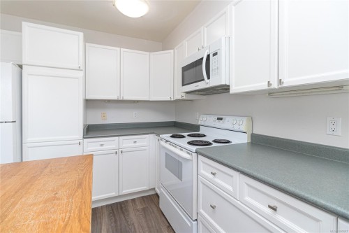#13-1043 Caledonia Ave, Victoria, BC 