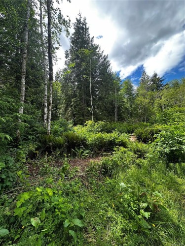 709 Sayward Rd, Sayward, BC 