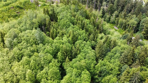 709 Sayward Rd, Sayward, BC 