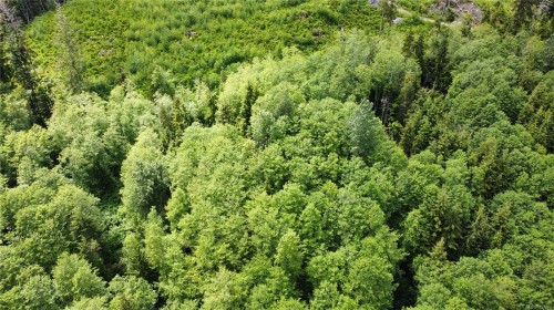 709 Sayward Rd, Sayward, BC 