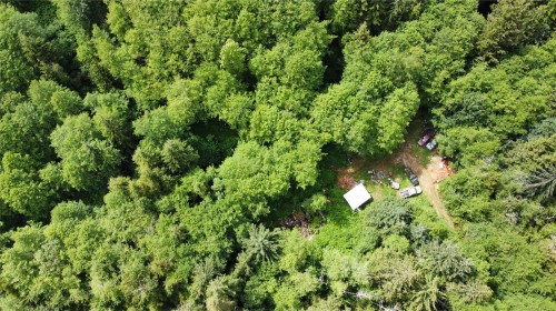 709 Sayward Rd, Sayward, BC 