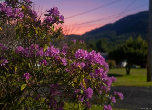221 Spar St, Sayward, BC 