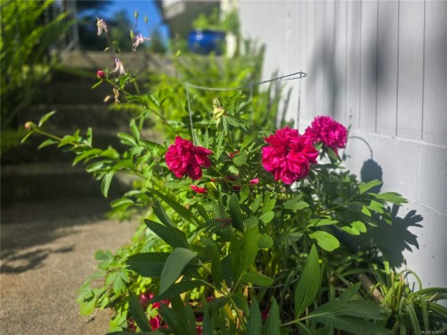 221 Spar St, Sayward, BC 
