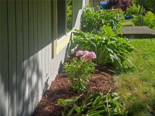 221 Spar St, Sayward, BC 