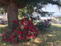 2535 Holyrood Dr, Nanaimo, BC 