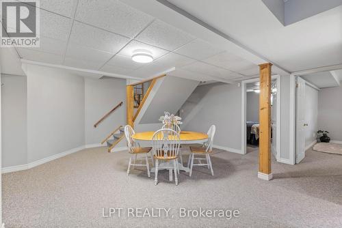 Finished Basement - 293 Hedge Road, Georgina, ON 