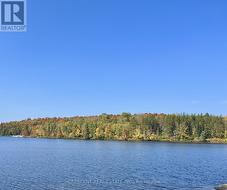 3B JACK'S LAKE ROAD Parry Sound Remote Area, ON P0H 1N0