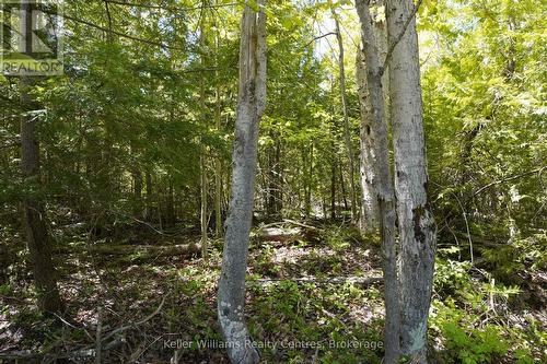 40 Old Red Bay Road, South Bruce Peninsula, ON 