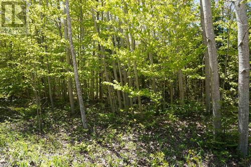 40 Old Red Bay Road, South Bruce Peninsula, ON 