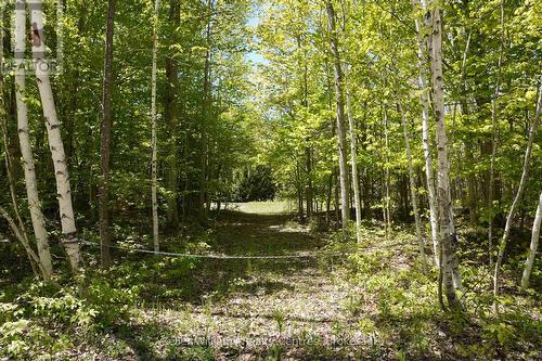 Driveway - 40 Old Red Bay Road, South Bruce Peninsula, ON 