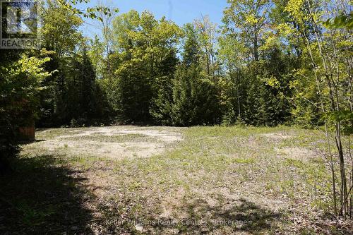 Cleared area - 40 Old Red Bay Road, South Bruce Peninsula, ON 