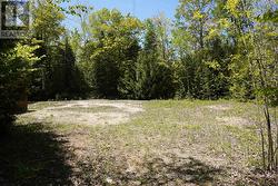 Cleared area - 