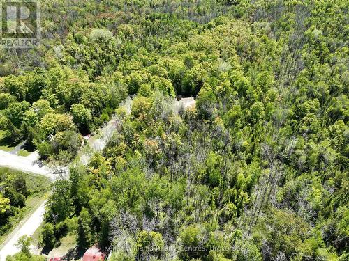 40 Old Red Bay Road, South Bruce Peninsula, ON 