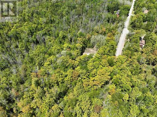 40 Old Red Bay Road, South Bruce Peninsula, ON 