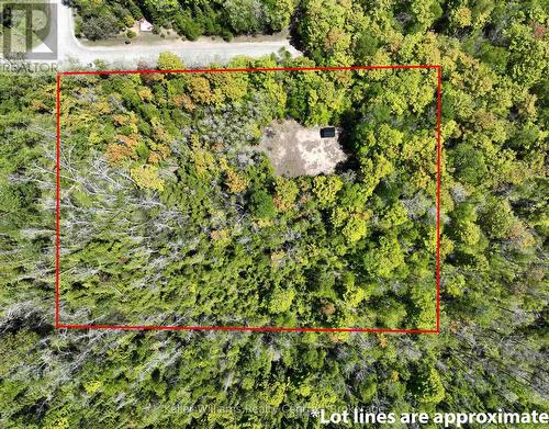 40 Old Red Bay Road, South Bruce Peninsula, ON 