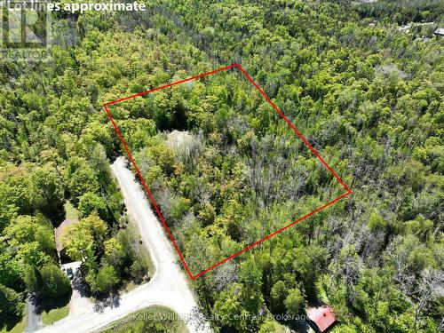 40 Old Red Bay Road, South Bruce Peninsula, ON 