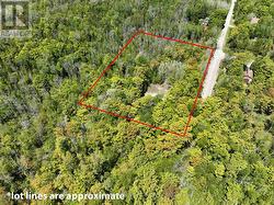 Large private double lot 2.4 acres - 
