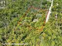 Large private double lot 2.4 acres - 40 Old Red Bay Road, South Bruce Peninsula, ON 