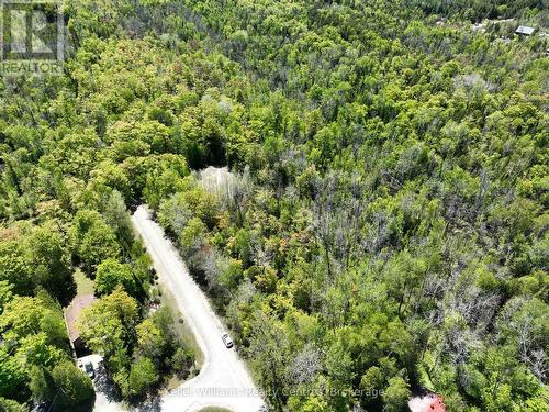 40 Old Red Bay Road, South Bruce Peninsula, ON 