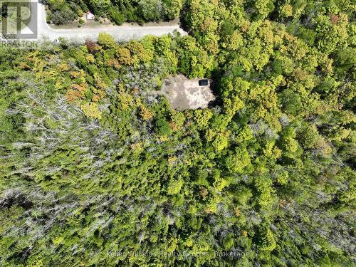 40 Old Red Bay Road, South Bruce Peninsula, ON 