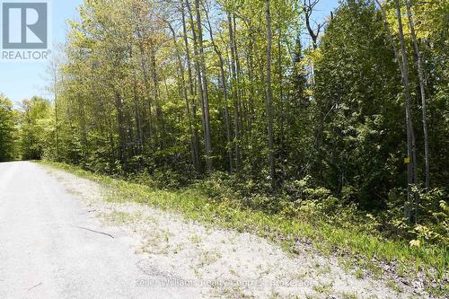 40 Old Red Bay Road, South Bruce Peninsula, ON 