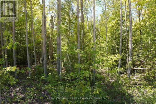 40 Old Red Bay Road, South Bruce Peninsula, ON 
