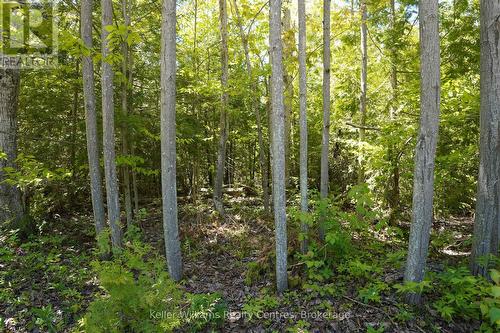 40 Old Red Bay Road, South Bruce Peninsula, ON 