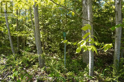 40 Old Red Bay Road, South Bruce Peninsula, ON 