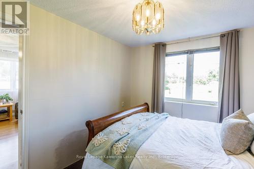99 Lindsay Street, Kawartha Lakes (Fenelon Falls), ON 