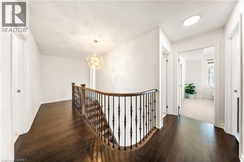 Hall with an upstairs landing, a chandelier, and dark wood-style flooring - 1 Bee Crescent, Brantford, ON 