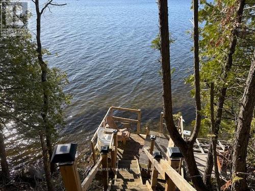227 Sunset Beach Road, Kawartha Lakes, ON 