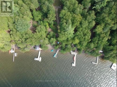 227 Sunset Beach Road, Kawartha Lakes, ON 
