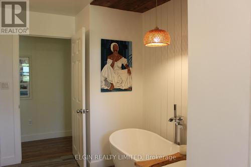 Front house bathroom freestanding tub - 42445 John Wise Line, Central Elgin, ON 