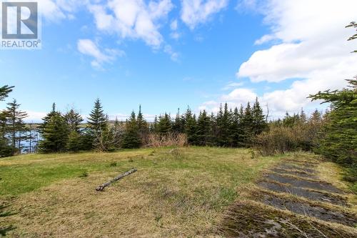 81 Kings Hill Road, St Philips, NL 