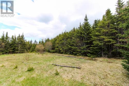 81 Kings Hill Road, St Philips, NL 