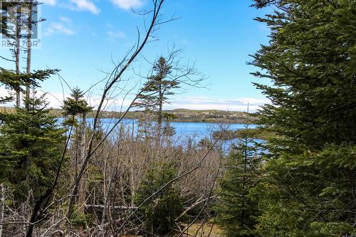 81 Kings Hill Road, St Philips, NL 