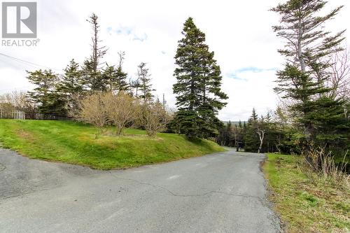 81 Kings Hill Road, St Philips, NL 