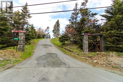 81 Kings Hill Road, St Philips, NL 