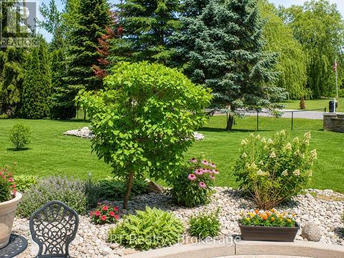 Beautiful Curb Appeal Leading To Front Entrance - 10 Vicari Road, Brighton, ON 