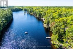 299 NINE MILE LAKE Muskoka Lakes (Wood (Muskoka Lakes)), ON P0C 1M0
