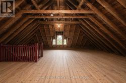 Attic has been bat-proofed - lifetime guarantee - 